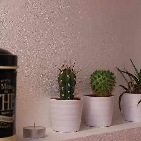 Lovely D'azeglio By בולוניה